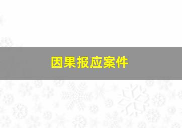 因果报应案件