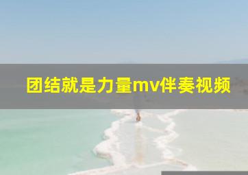 团结就是力量mv伴奏视频