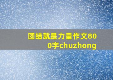 团结就是力量作文800字chuzhong