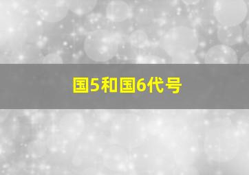 国5和国6代号