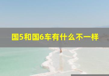 国5和国6车有什么不一样