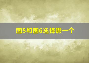 国5和国6选择哪一个