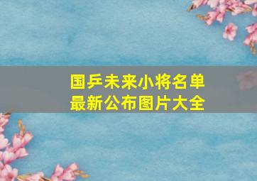 国乒未来小将名单最新公布图片大全