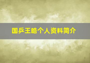 国乒王皓个人资料简介