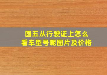 国五从行驶证上怎么看车型号呢图片及价格