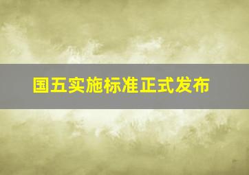 国五实施标准正式发布