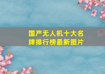 国产无人机十大名牌排行榜最新图片