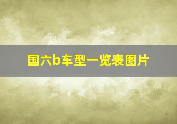 国六b车型一览表图片