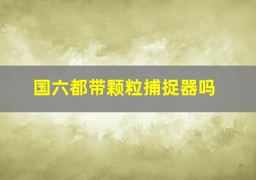 国六都带颗粒捕捉器吗