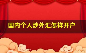 国内个人炒外汇怎样开户