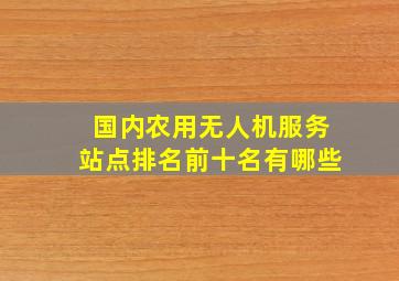 国内农用无人机服务站点排名前十名有哪些