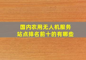 国内农用无人机服务站点排名前十的有哪些