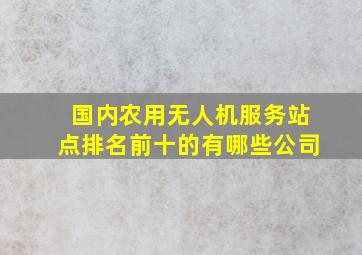 国内农用无人机服务站点排名前十的有哪些公司