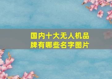 国内十大无人机品牌有哪些名字图片