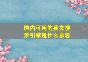 国内可用的英文搜索引擎是什么意思