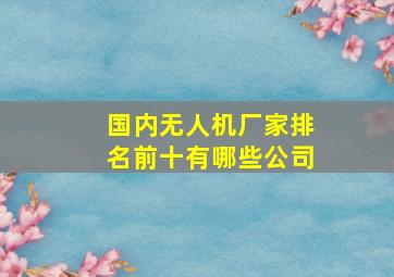 国内无人机厂家排名前十有哪些公司