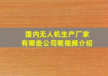 国内无人机生产厂家有哪些公司呢视频介绍