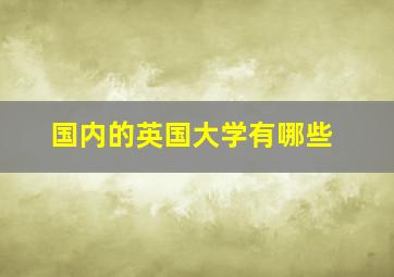 国内的英国大学有哪些