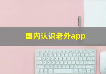 国内认识老外app