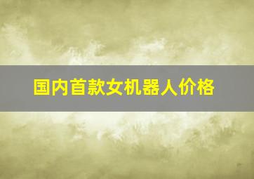 国内首款女机器人价格