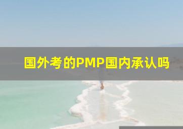 国外考的PMP国内承认吗