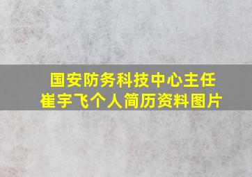 国安防务科技中心主任崔宇飞个人简历资料图片