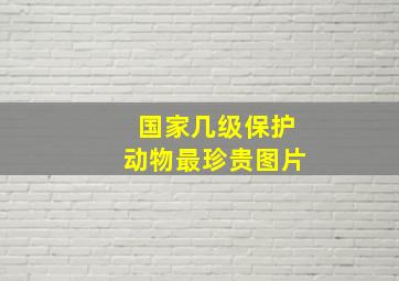 国家几级保护动物最珍贵图片