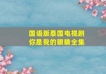 国语版泰国电视剧你是我的眼睛全集