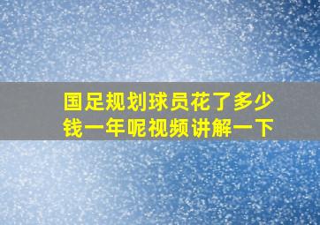 国足规划球员花了多少钱一年呢视频讲解一下