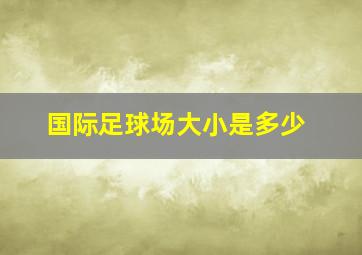 国际足球场大小是多少