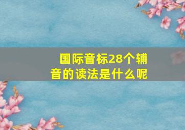 国际音标28个辅音的读法是什么呢