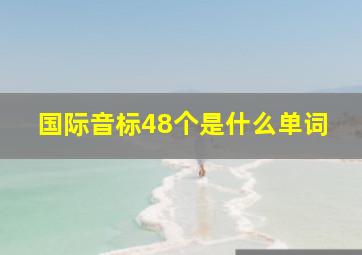 国际音标48个是什么单词