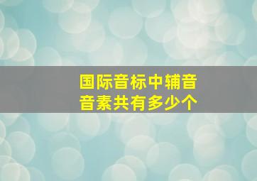 国际音标中辅音音素共有多少个