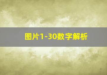 图片1-30数字解析