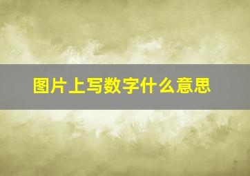 图片上写数字什么意思