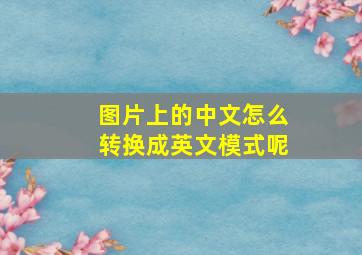 图片上的中文怎么转换成英文模式呢