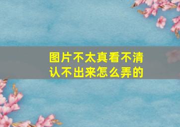 图片不太真看不清认不出来怎么弄的