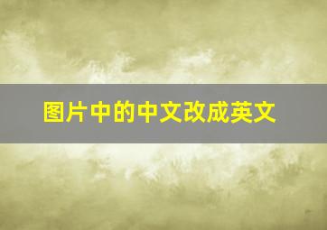 图片中的中文改成英文