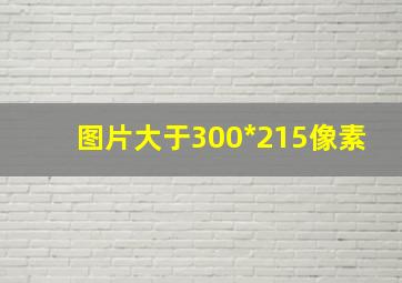 图片大于300*215像素