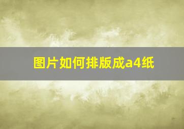 图片如何排版成a4纸