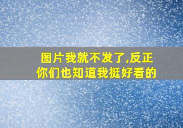 图片我就不发了,反正你们也知道我挺好看的