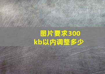 图片要求300kb以内调整多少