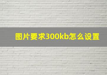 图片要求300kb怎么设置