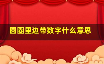 圆圈里边带数字什么意思