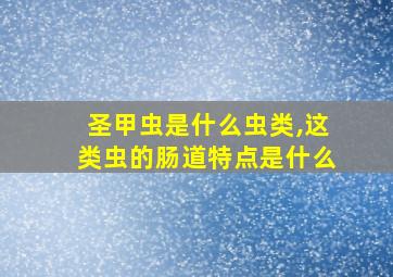 圣甲虫是什么虫类,这类虫的肠道特点是什么