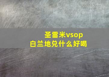 圣雷米vsop白兰地兑什么好喝