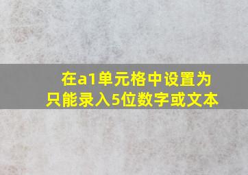 在a1单元格中设置为只能录入5位数字或文本