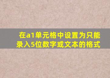 在a1单元格中设置为只能录入5位数字或文本的格式