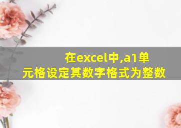 在excel中,a1单元格设定其数字格式为整数