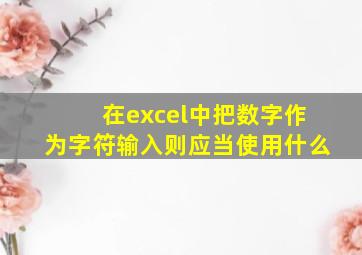 在excel中把数字作为字符输入则应当使用什么